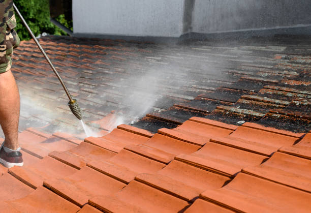 Best Power Washing Near Me  in Portage, PA